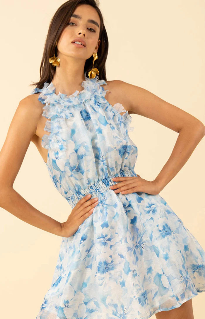 Nala Organza Floral Trim Dress Blue - Hale Bob