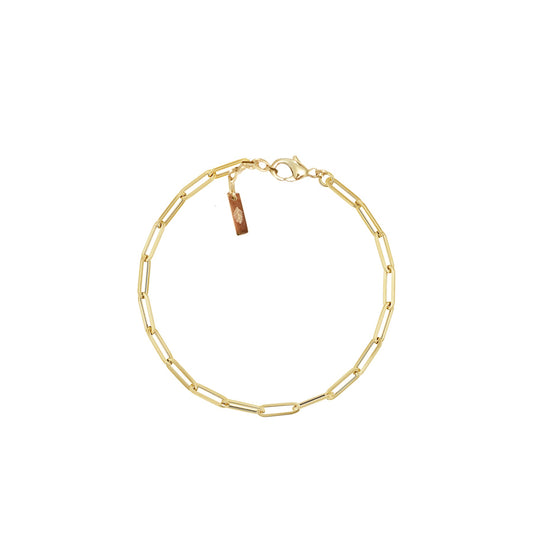 Paperclip Chain Bracelet - Adriana Pappas Designs