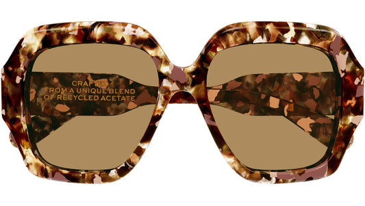 Women's Acetate Sunglasses - Chloe