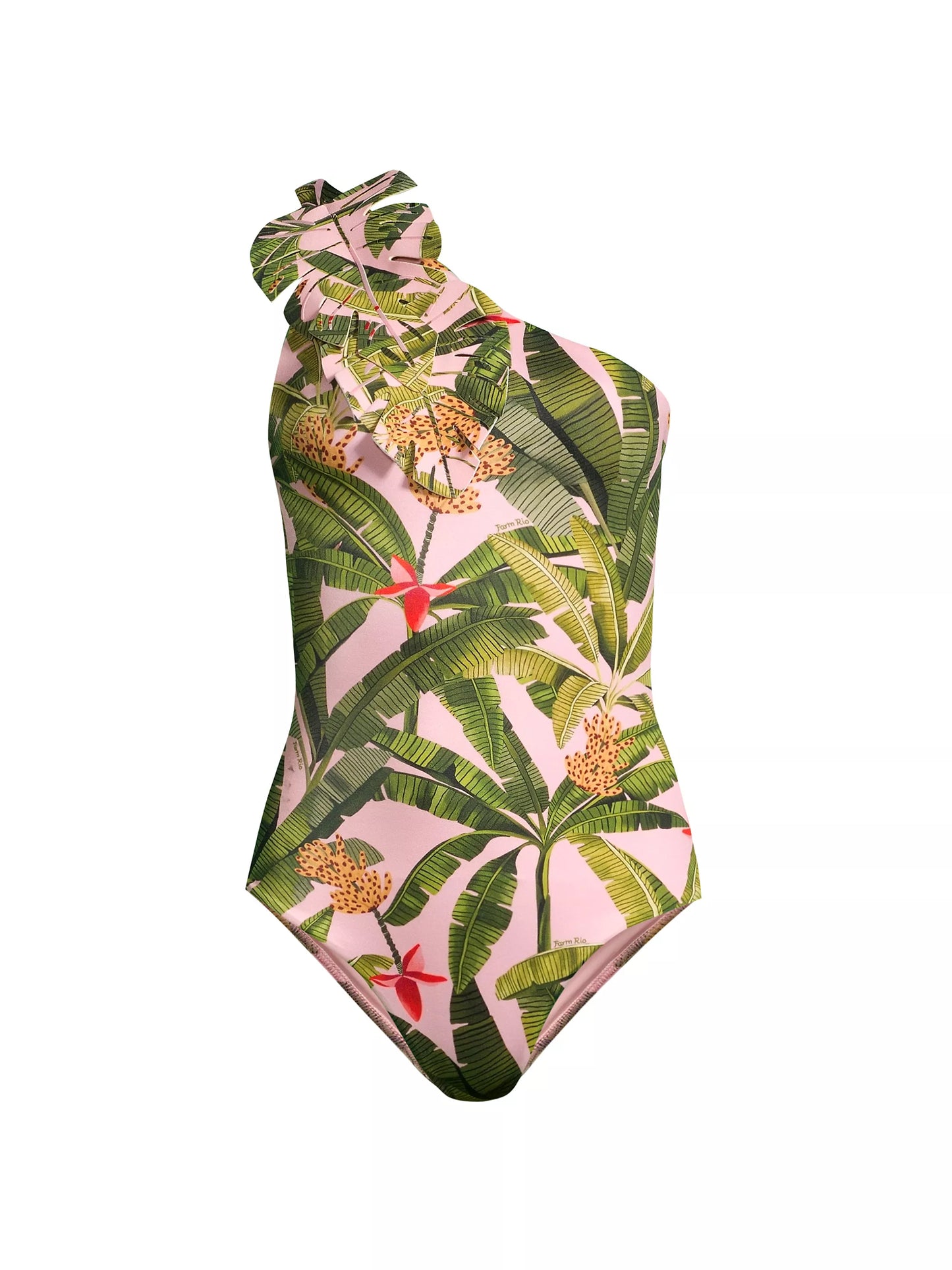 One Piece Swimsuit Banana Leaves Farm Rio