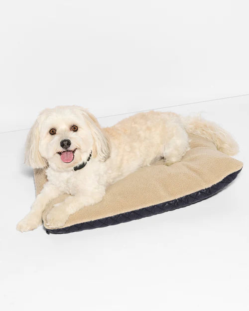 MZW Dog Bed Black - MZ Wallace