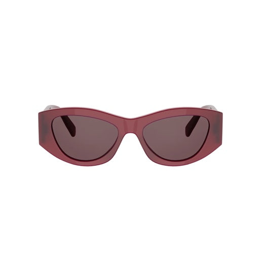 Triomphe Acetate Sunglasses Red - CELINE