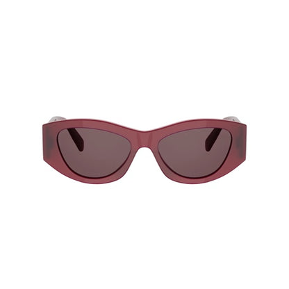 Triomphe Acetate Sunglasses Red - CELINE