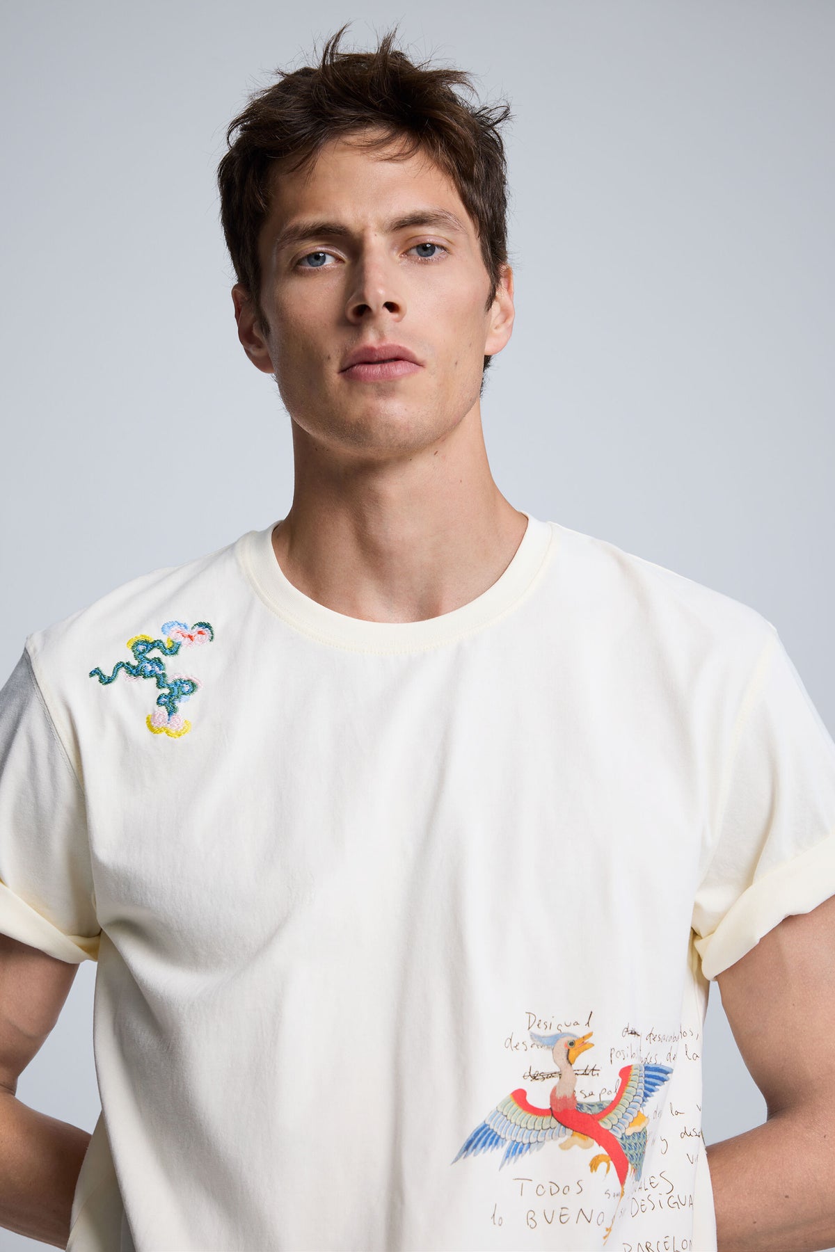 Embroidered T-Shirt Ecru - Desigual