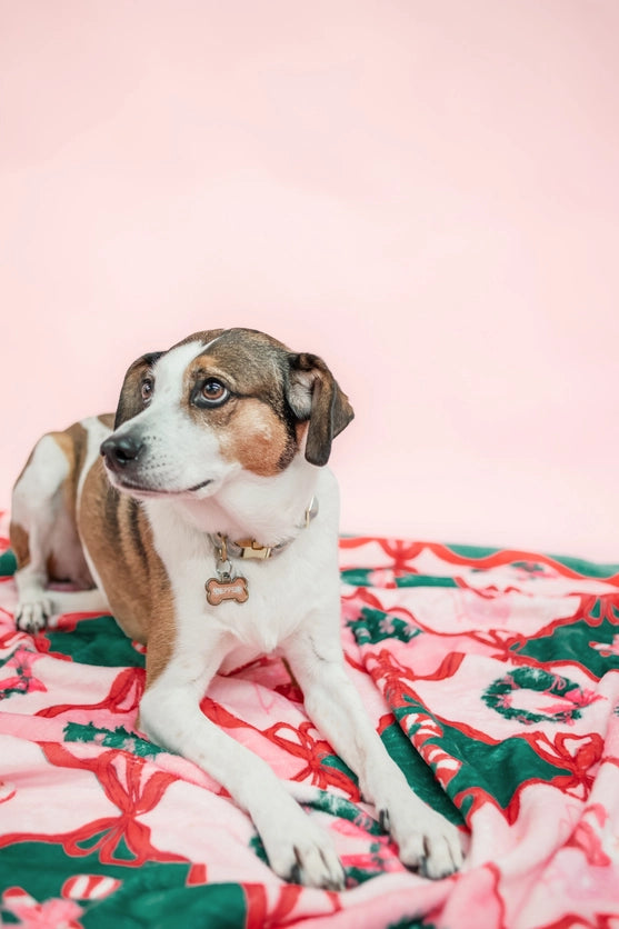 Santa's Candy Cane Cottage Fleece Blanket - Rock Paper Scissors