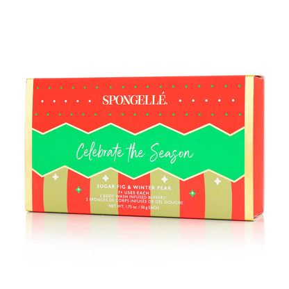 Celebrate The Season | Holiday Ornament Gift Set - Spongelle