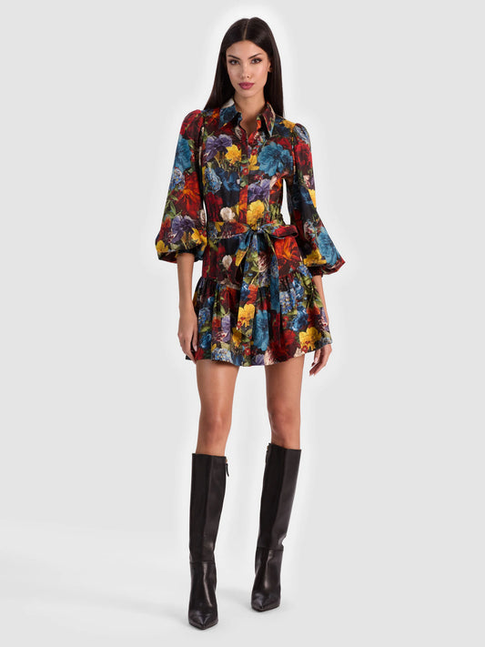 Lily Mini Shirt Dress Flourish Sm - Alice + Olivia