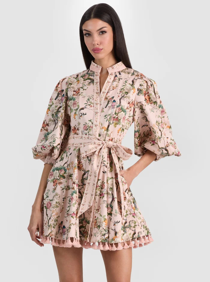 Lucy Mini Shirt Dress Sunset Grove English Rose - Alice + Olivia
