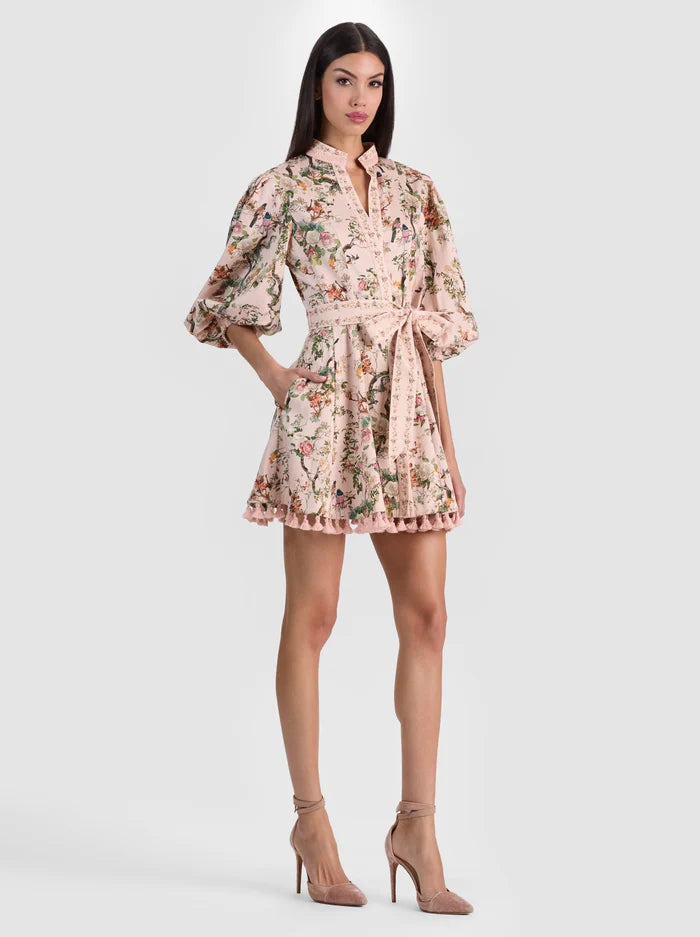 Lucy Mini Shirt Dress Sunset Grove English Rose - Alice + Olivia