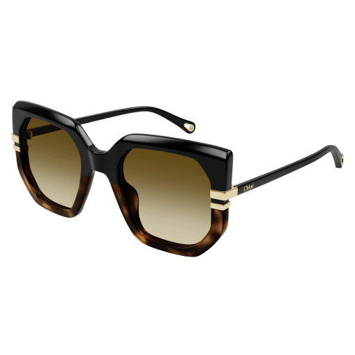 Women's Recycled Acetate Sunglasses Black/Brown - Chloé
