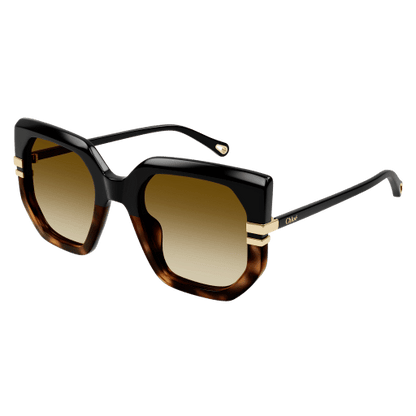 Women's Recycled Acetate Sunglasses Black/Brown - Chloé