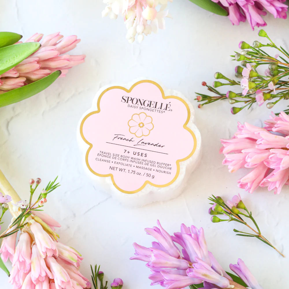 Daisy Spongette French Lavender - Spongelle