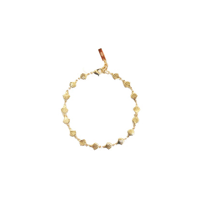 Golden Shells Anklet - Adriana Pappas Designs