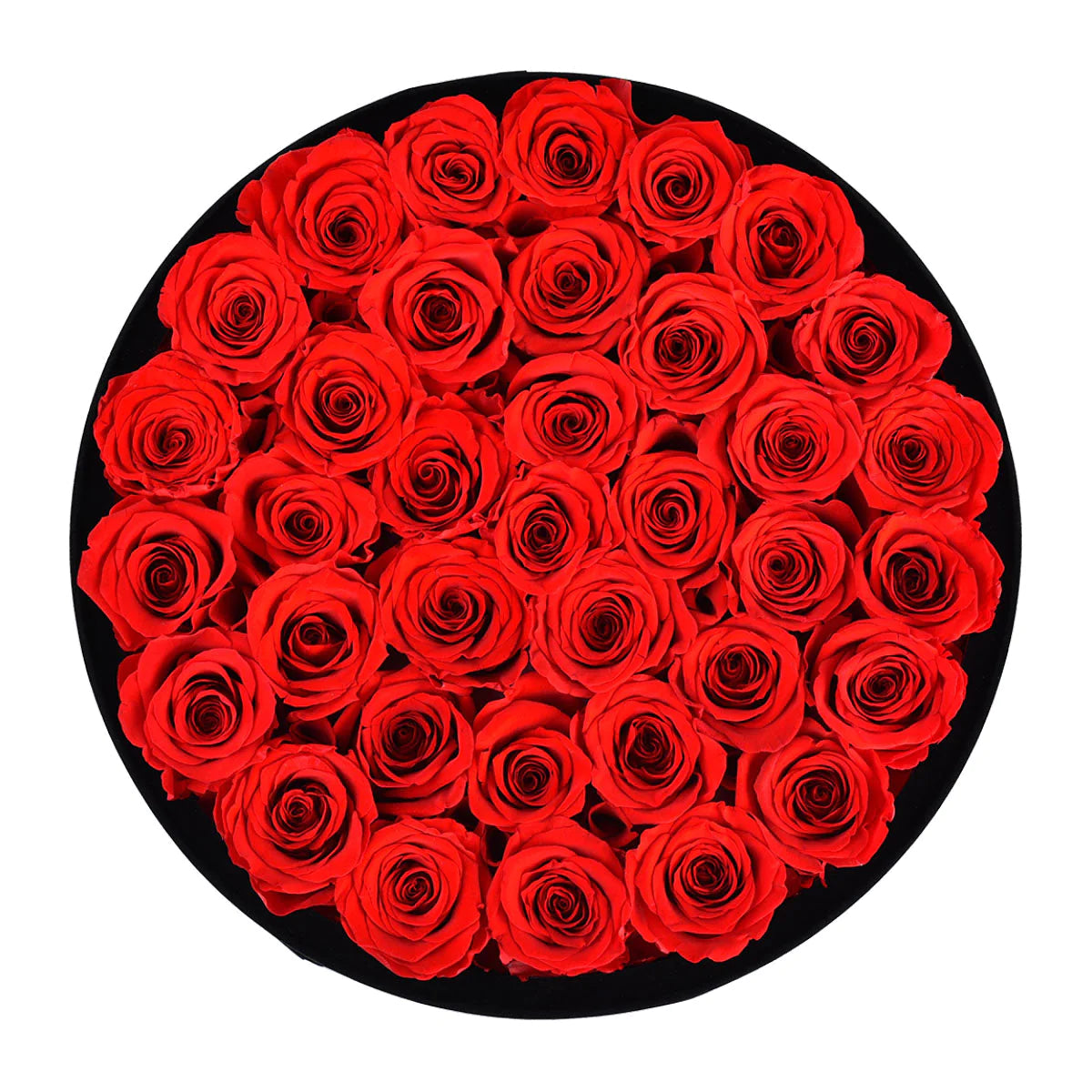 Intense Black Velvet Red - Rose Forever