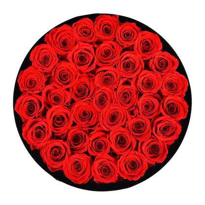 Intense Black Velvet Red - Rose Forever