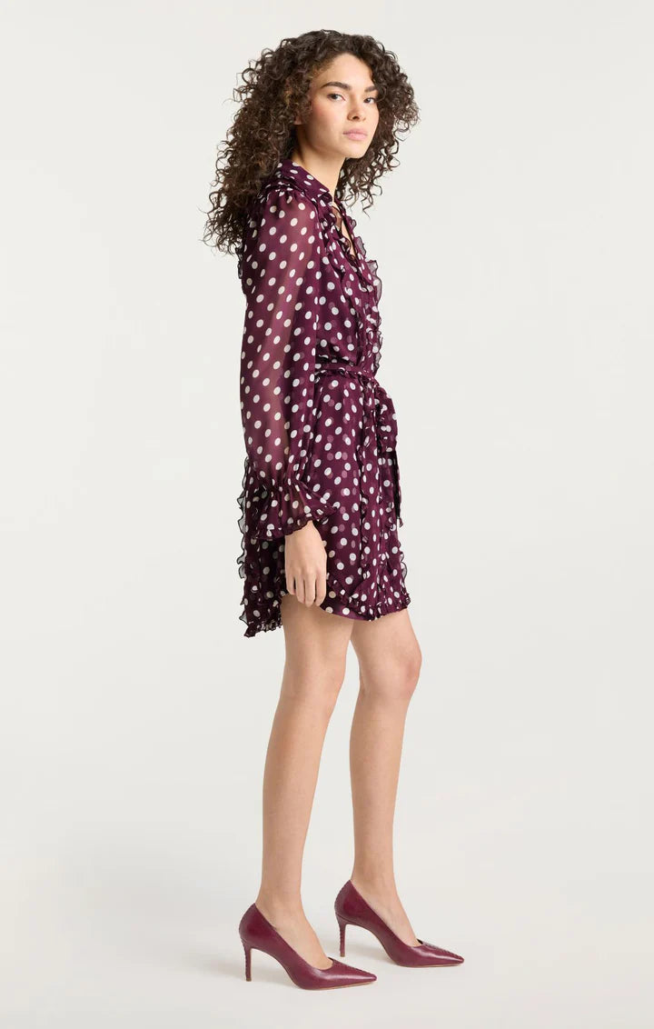Camille Polka Dot Estelle Dress Deep Plum/Limestone - Cinq à Sept