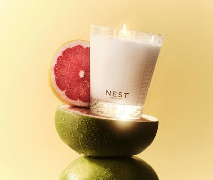 Classic Candle Grapefruit - Nest