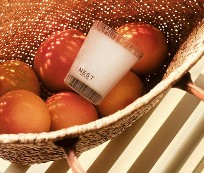 Classic Candle Grapefruit - Nest