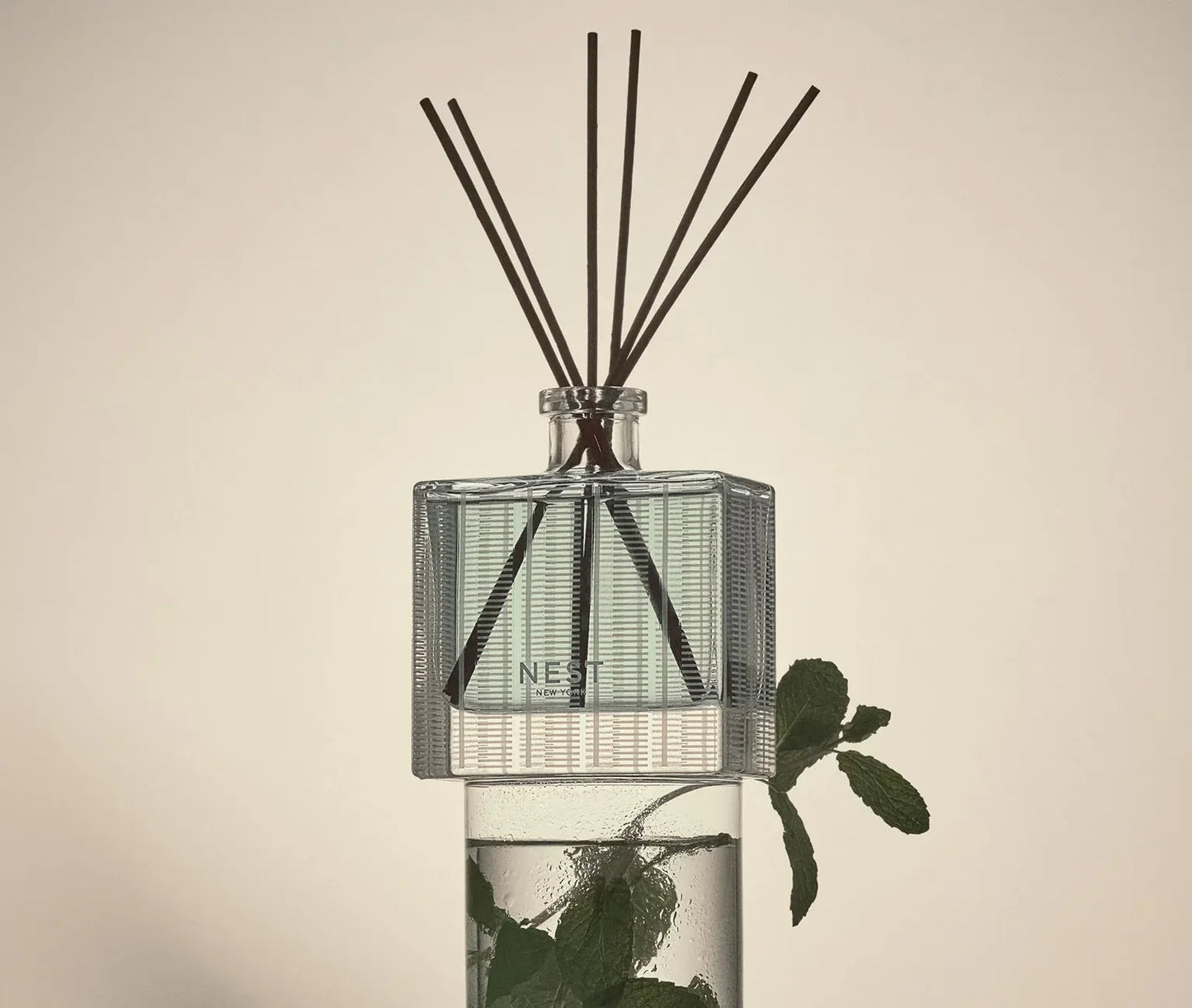 Reed Diffuser Wild Mint & Eucalyptus - Nest