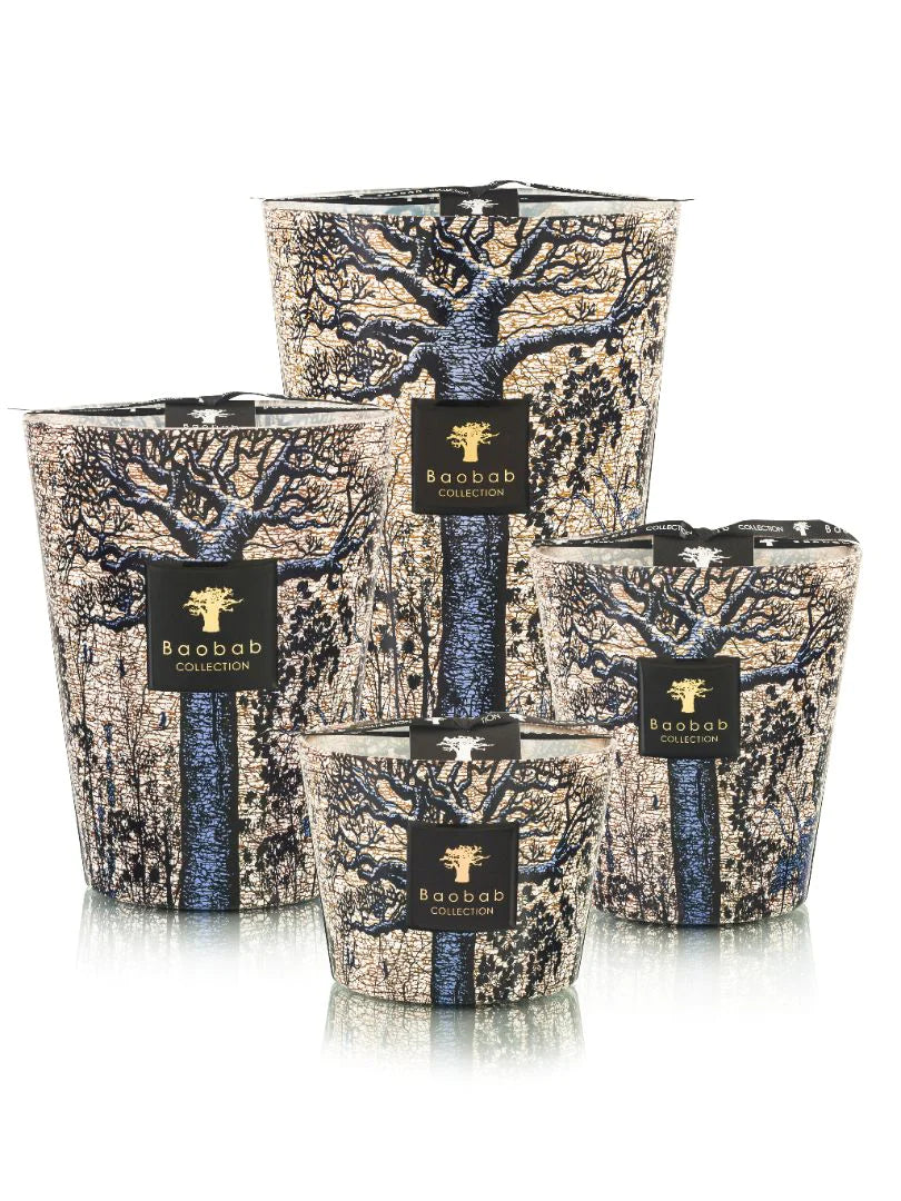 Max 10 Sacred Trees Seguela Candle  - Baobab Collection