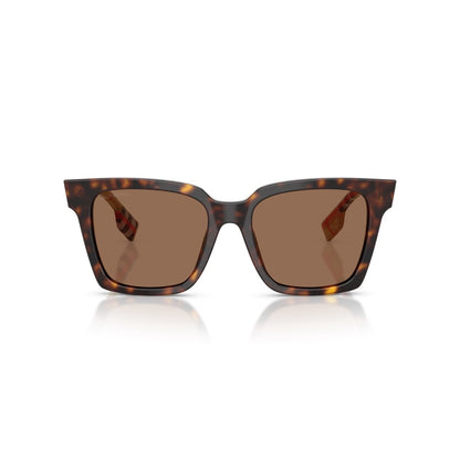 Maple Square Sunglasses Dark Havana - Burberry