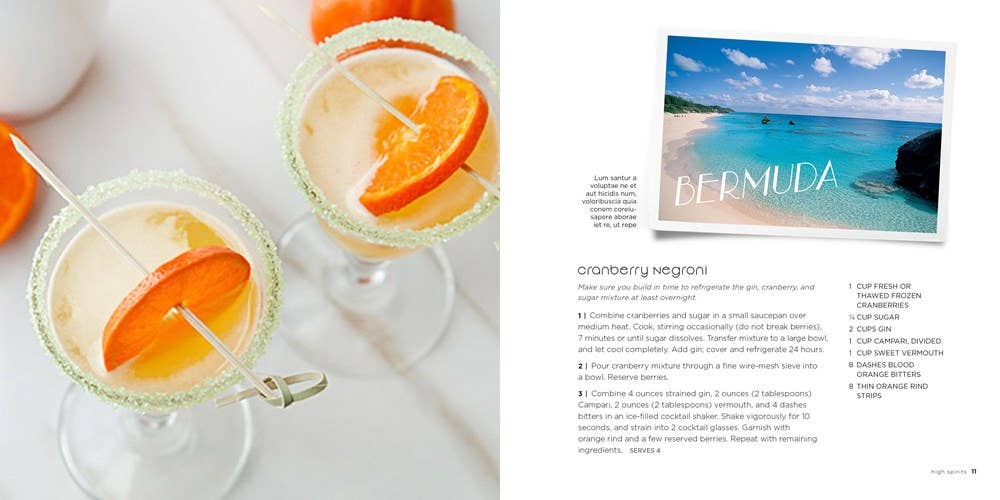 Beach Cocktails Hardcover - Independent Publisher's Group