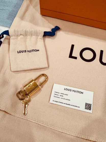 Braided Speedy 25 - Louis Vuitton