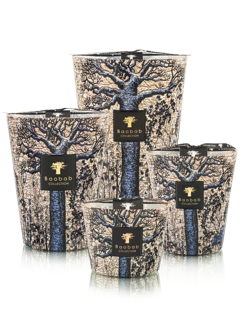 Max 16 Candle Sacred Trees Seguela - Baobab Collection