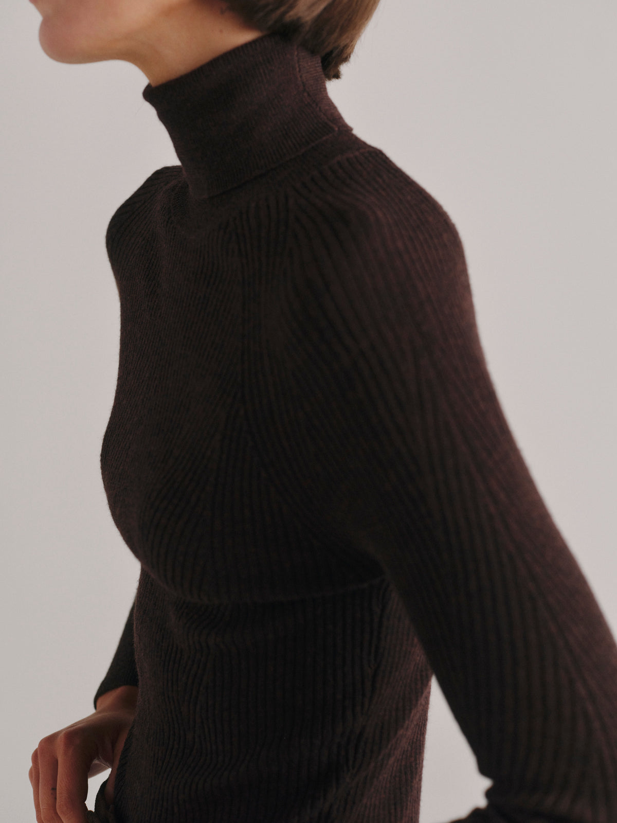 Turtleneck Sweater Brunette - DL1961