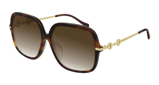Gucci Acetate Sunglasses Havana Gold