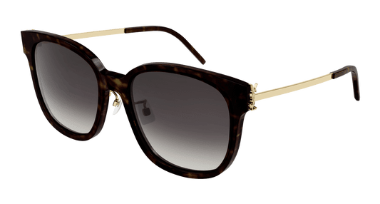 Saint Laurent Acetate Sunglasses Havana