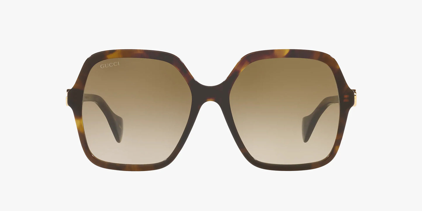 Gucci Acetate Sunglasses Brown