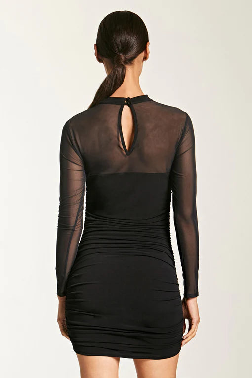 Lanston Mesh Panel Dress Black Back